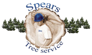 Spears Tree Service
